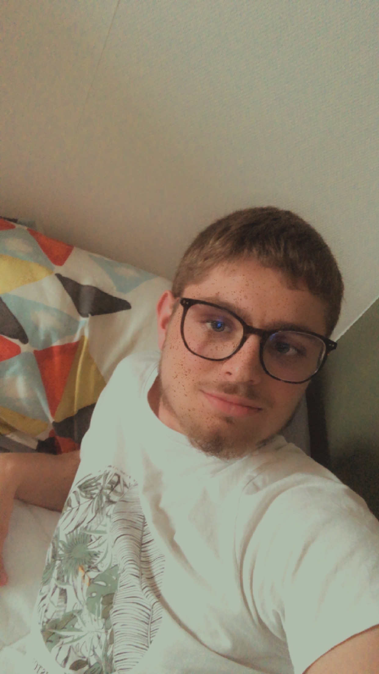 Elmedin, 23 ans, Laneuvelle